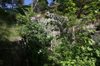 IMG_2393_2.jpg